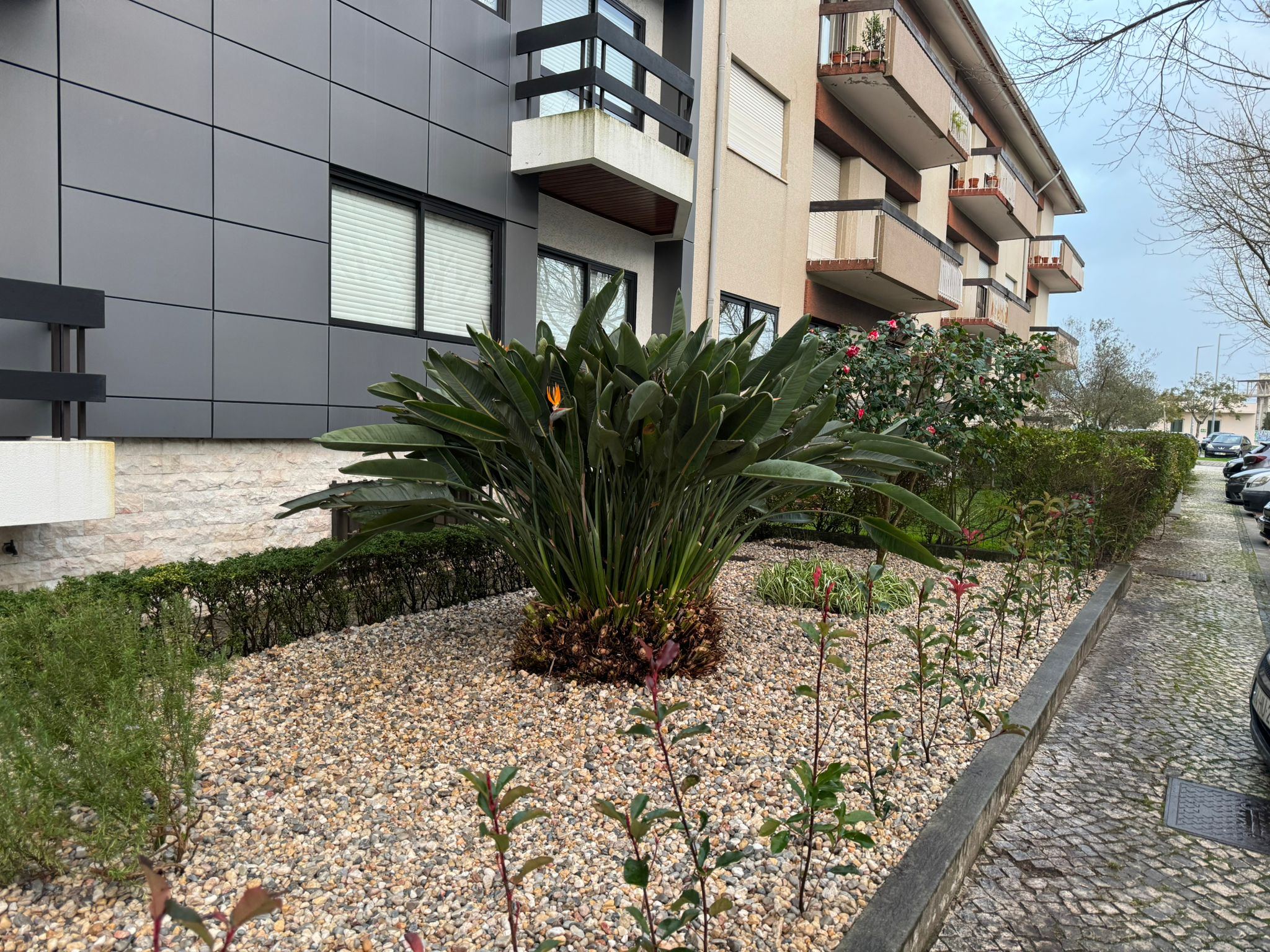 Reconstrução de canteiro